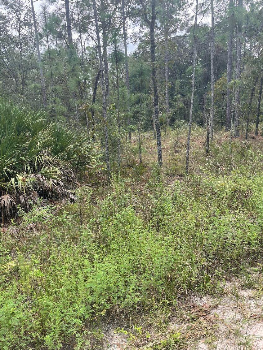 Lot 7 159th Avenue, FL