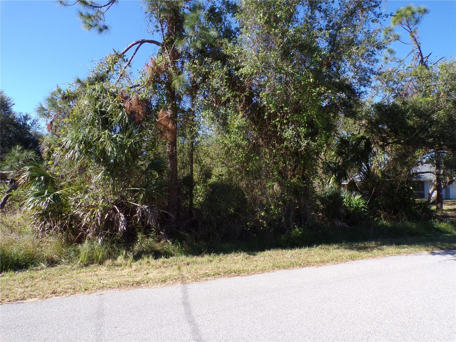 Nora Lane, FL