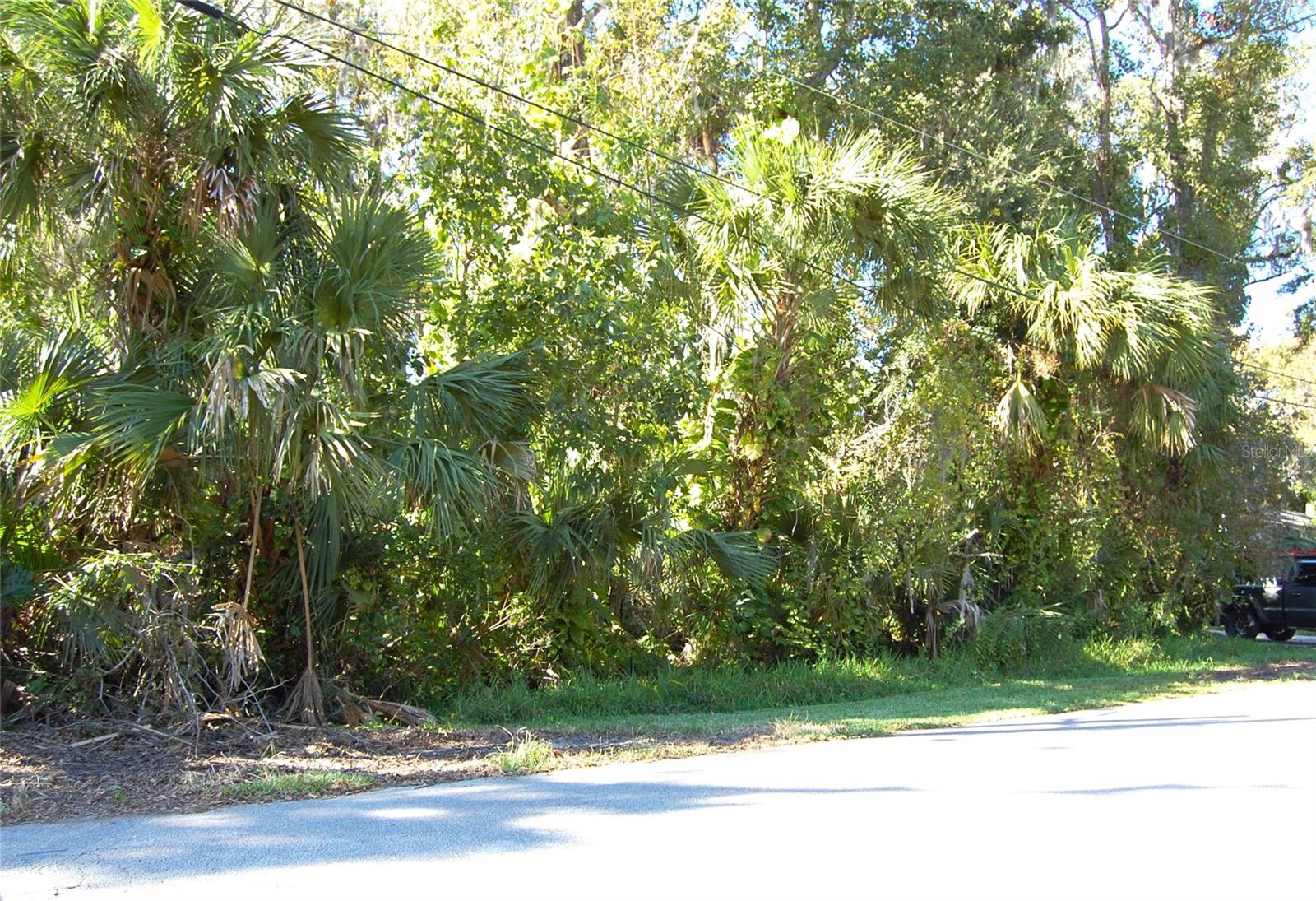 332 Patricia Drive, FL