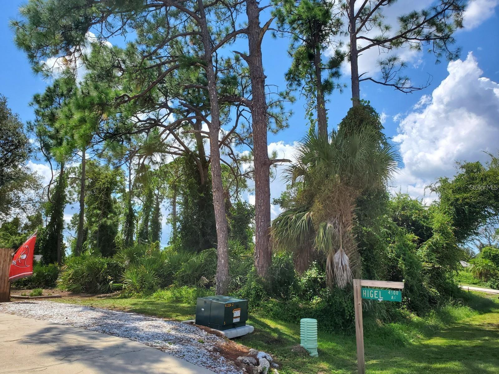Slayton Avenue, FL