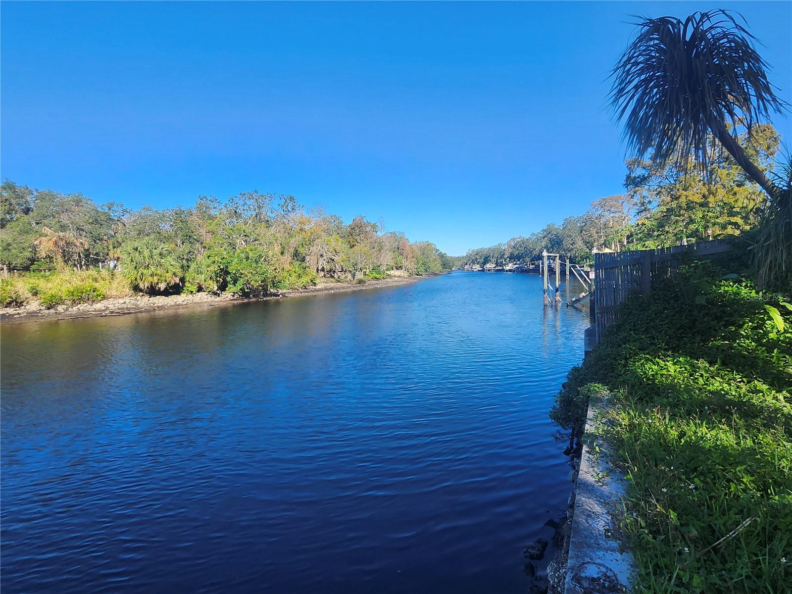 7222 Ola Avenue, FL