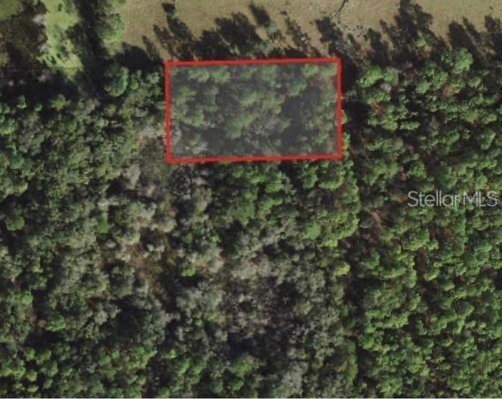 5230 Whetstone Point, FL