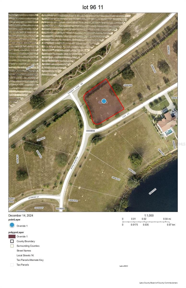 17200 Royal Palm Drive, FL
