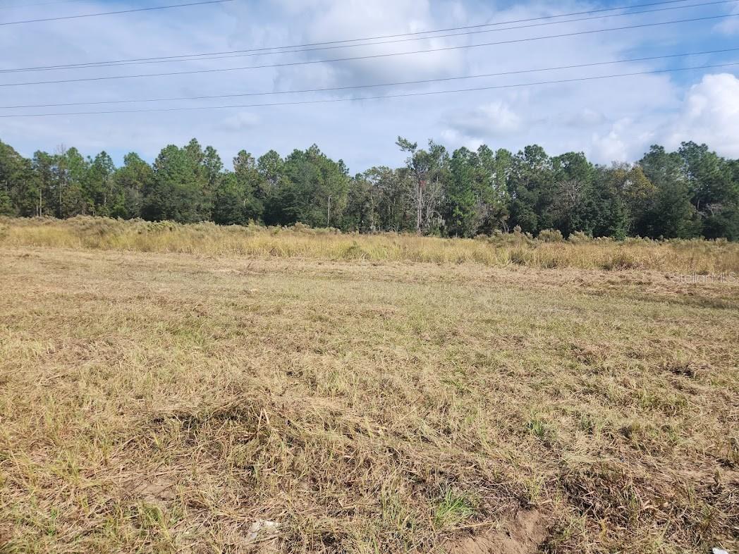 Maricamp Road, FL