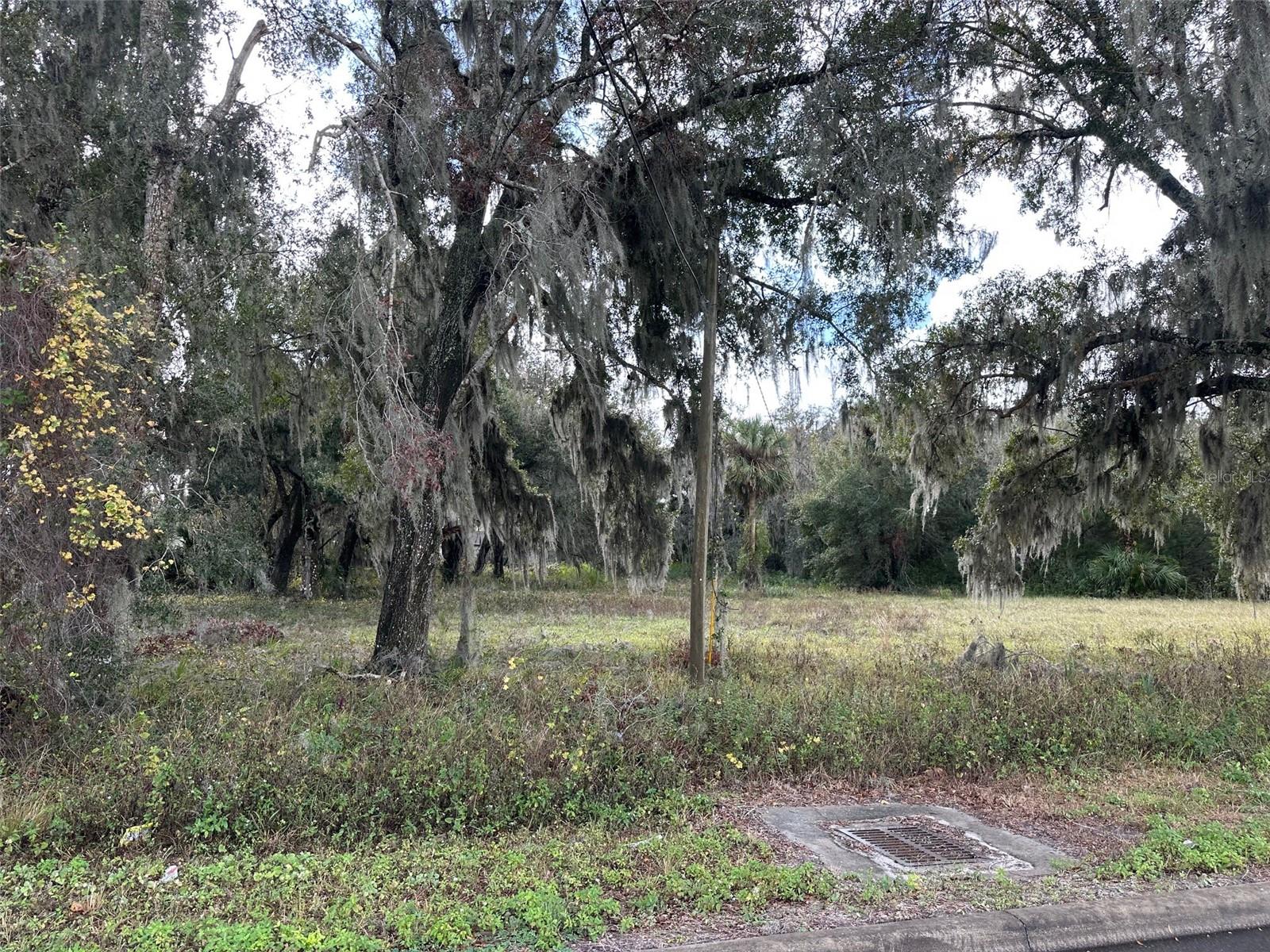 Doyle Road, FL