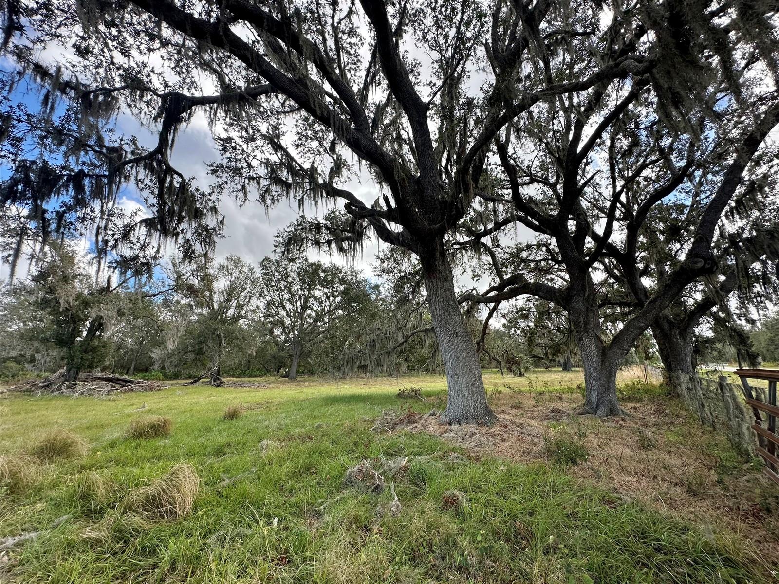 WAUCHULA, FL