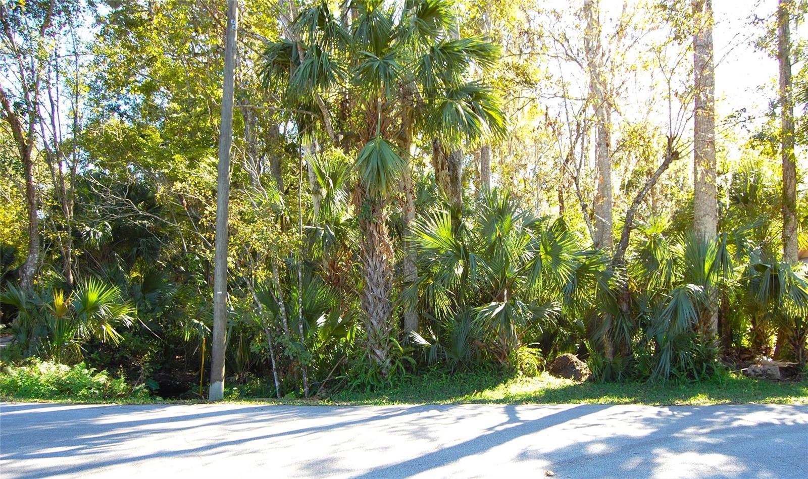 0 Palm Drive, FL