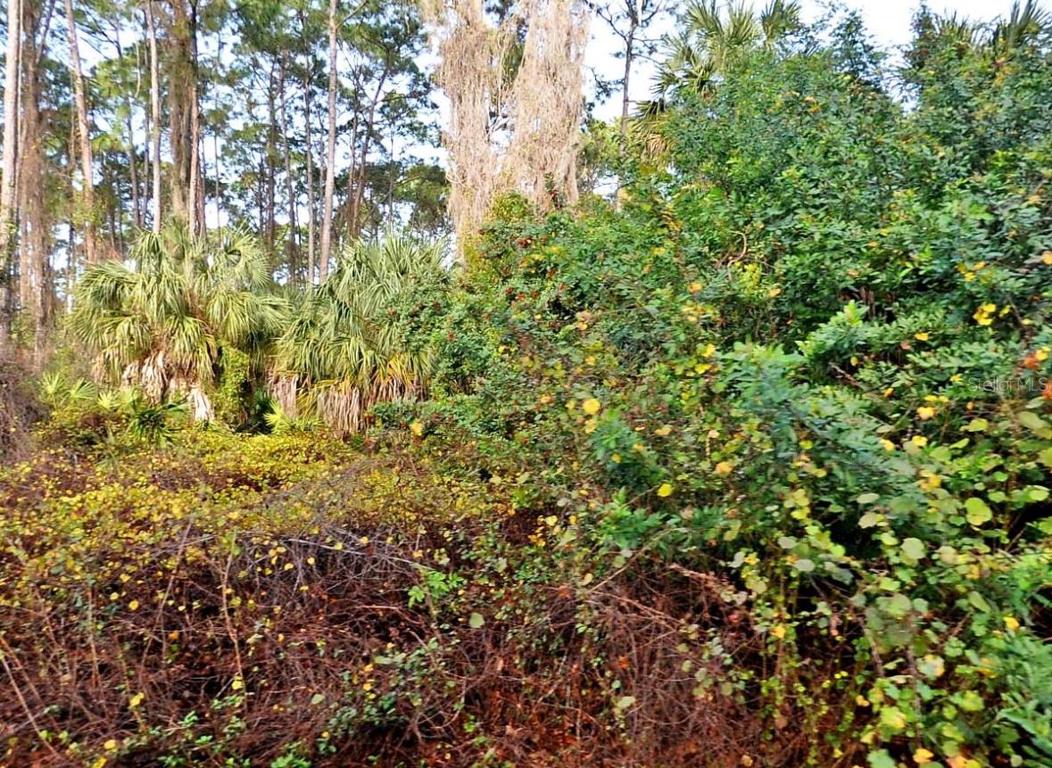 Daphne Road, FL