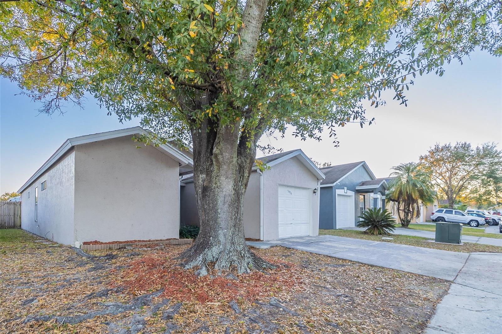 5436 Wood Crossing Street, FL