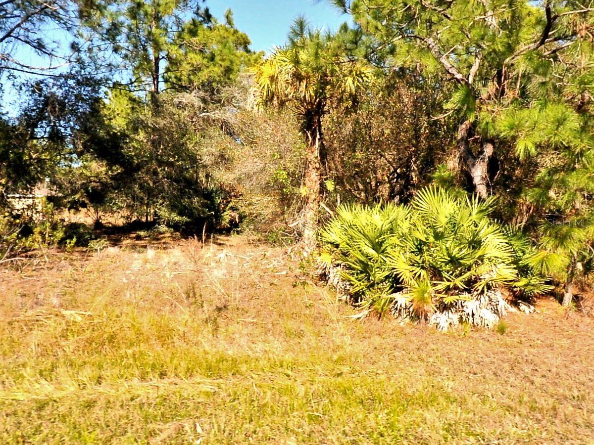 Tasco Lot #10 Dr, FL