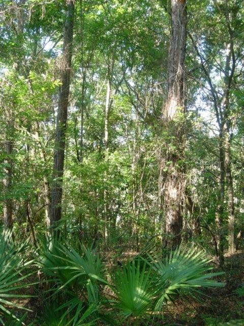 00 Castillo Dr, FL