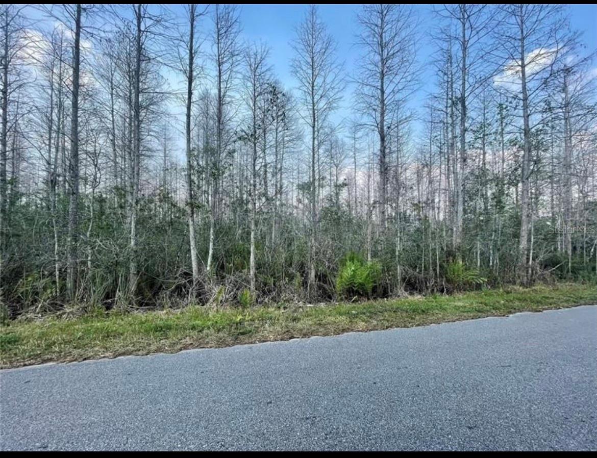 Luna Dr, FL