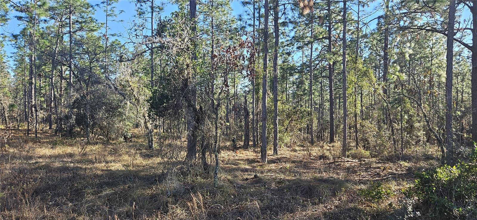 Lot 13 Nw Water Oak Avenue, FL
