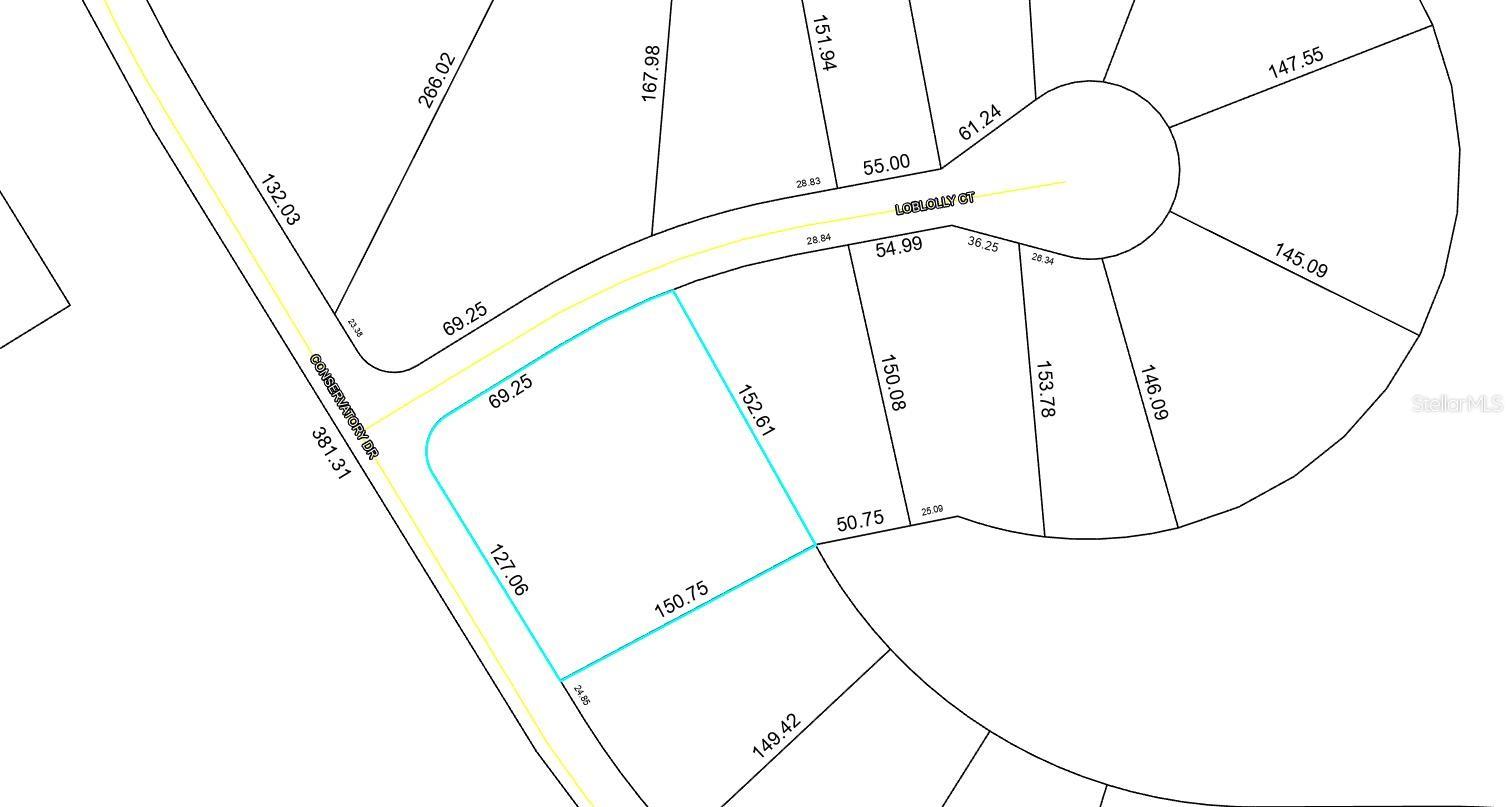 225 Conservatory Drive, FL