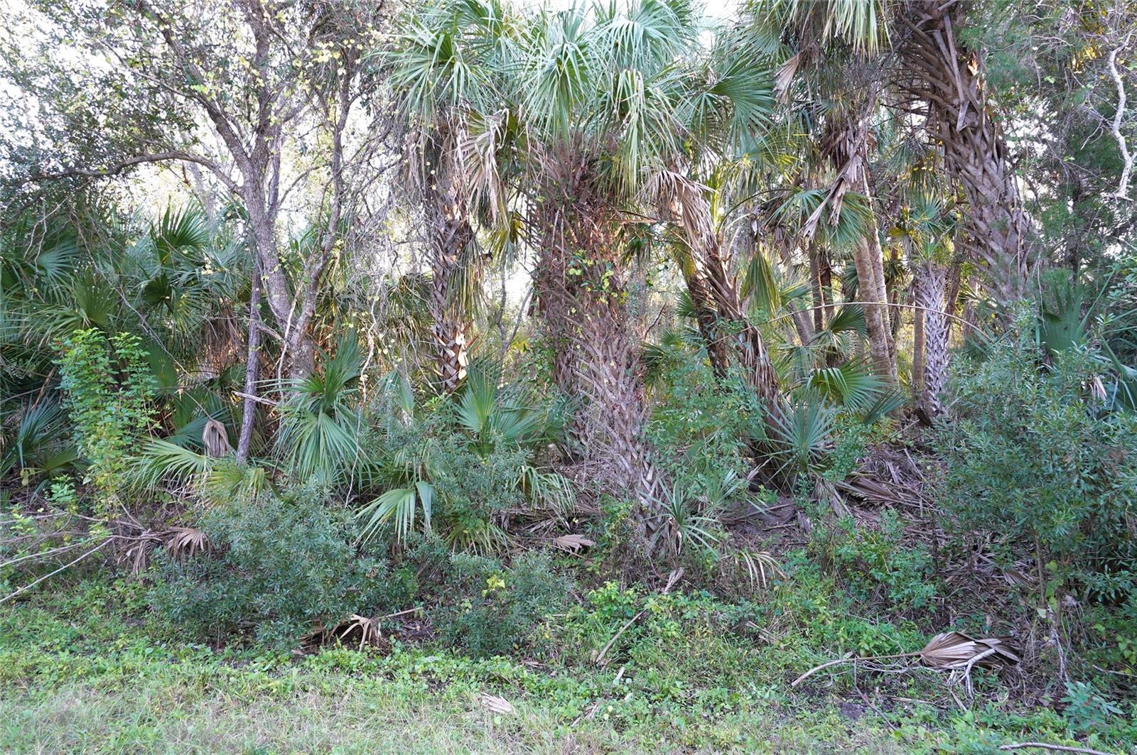 14299 Cannell Ln, FL