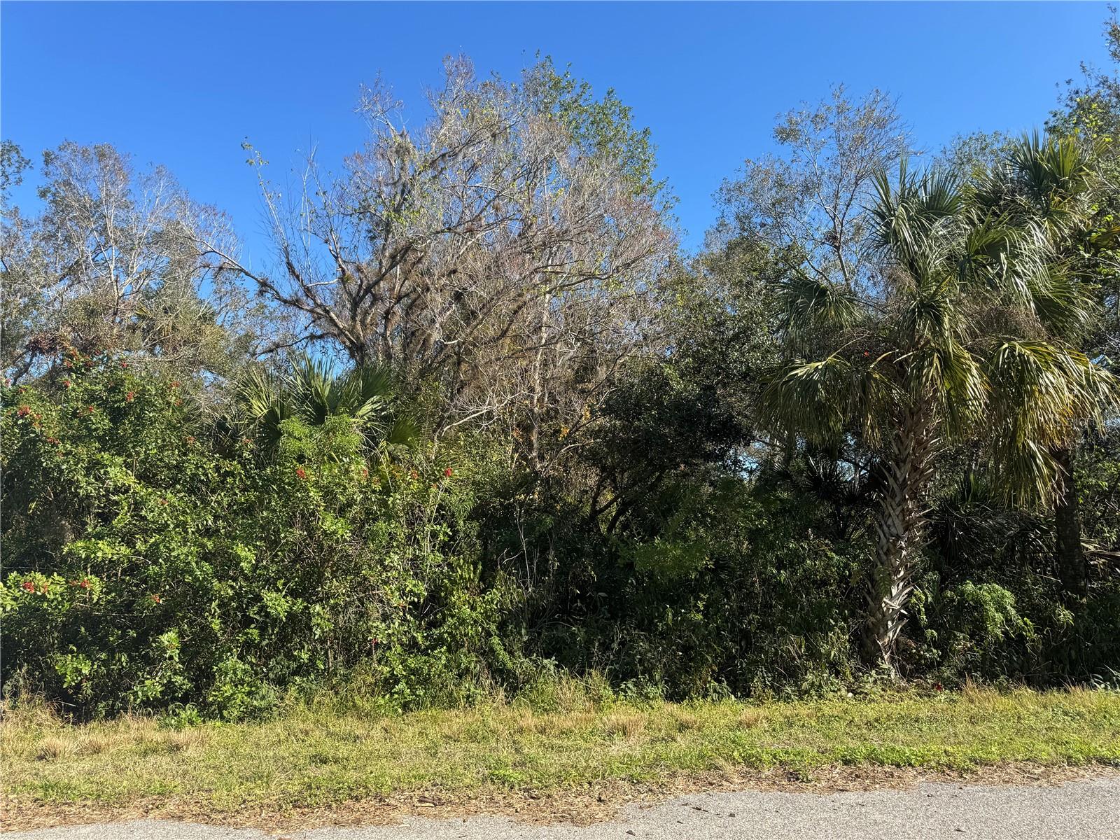 194 Ray Street, FL