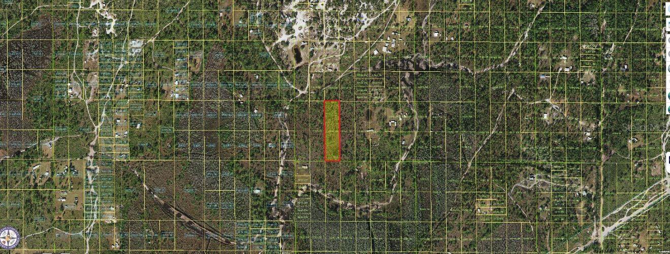 Holopaw Groves Road, FL