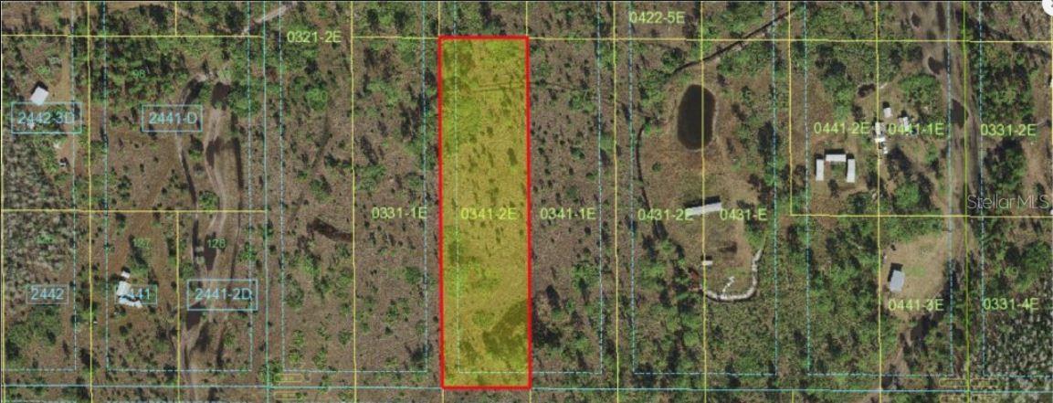 Holopaw Groves Road, FL