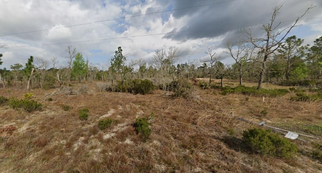 1137 Twin Lakes Boulevard, FL