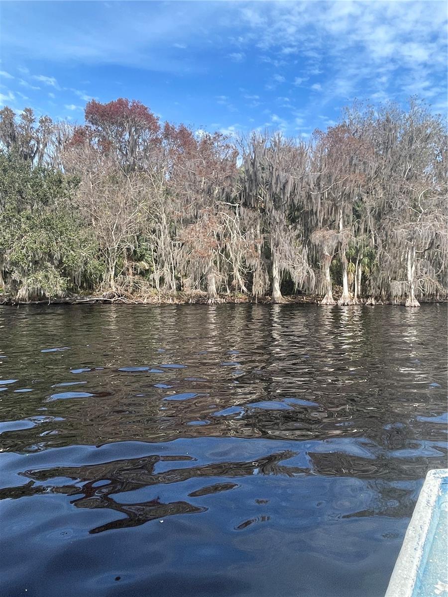233 Stella Road, FL