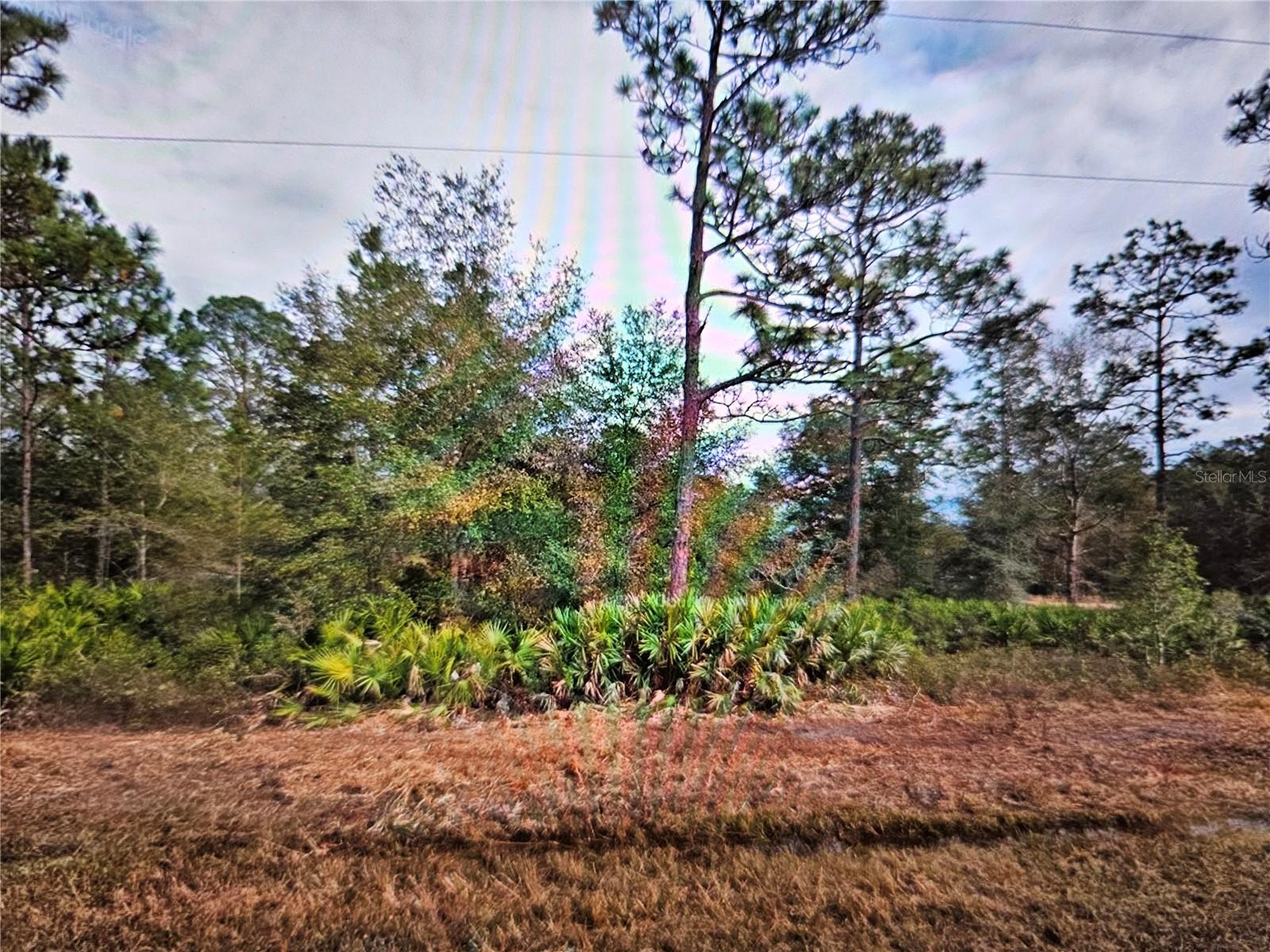 Creager Ave, FL