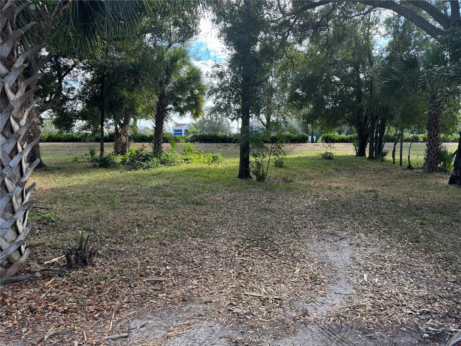 Magnolia Street, FL