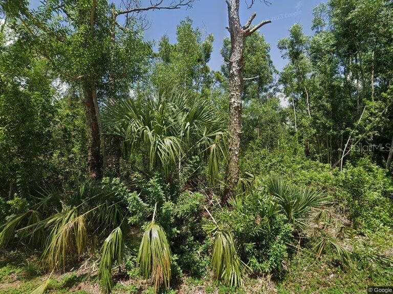 28210 Twin Lakes Drive, FL
