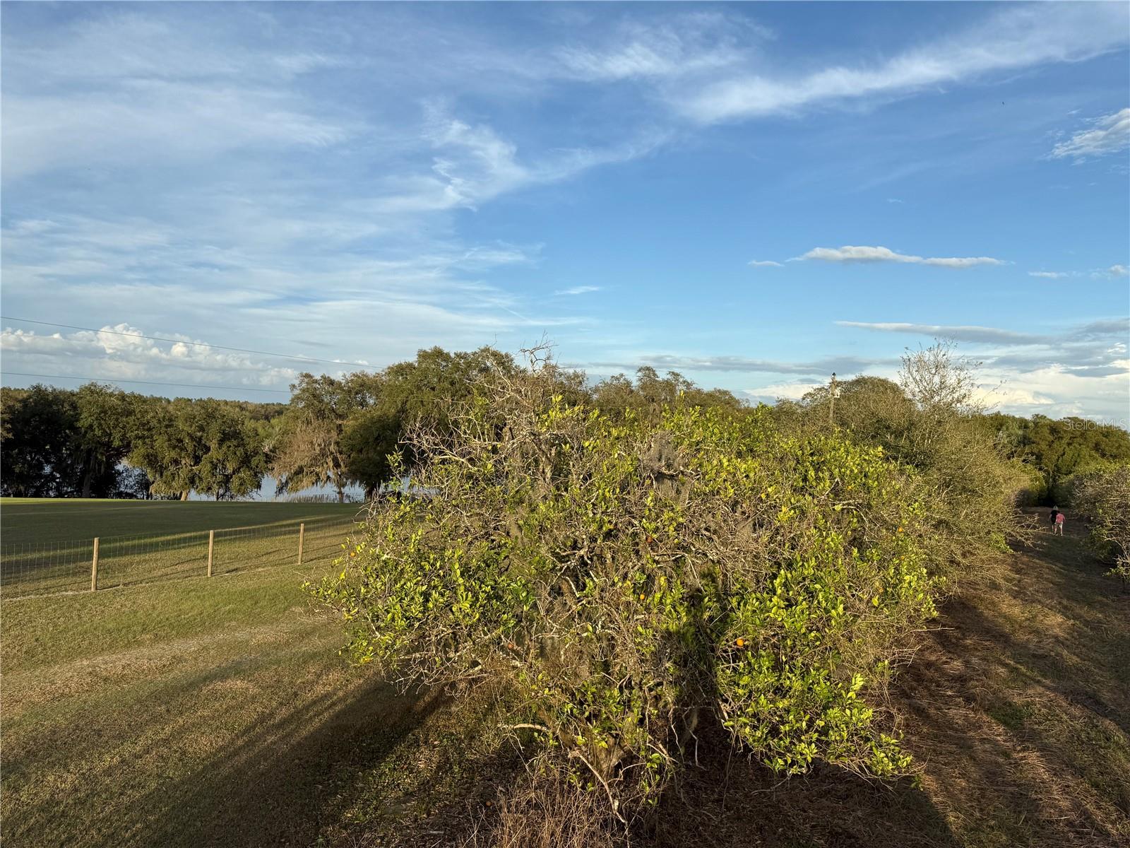 Se 165th Ave, FL