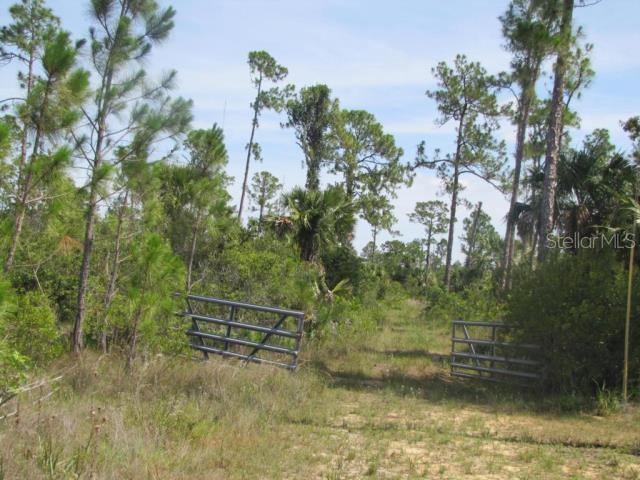 Beal Ln, FL