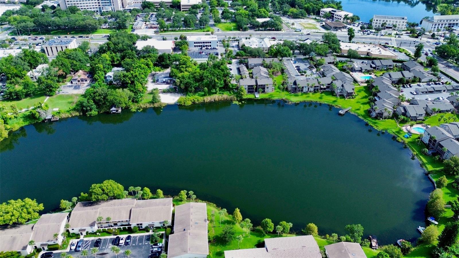648 Jasmine, FL