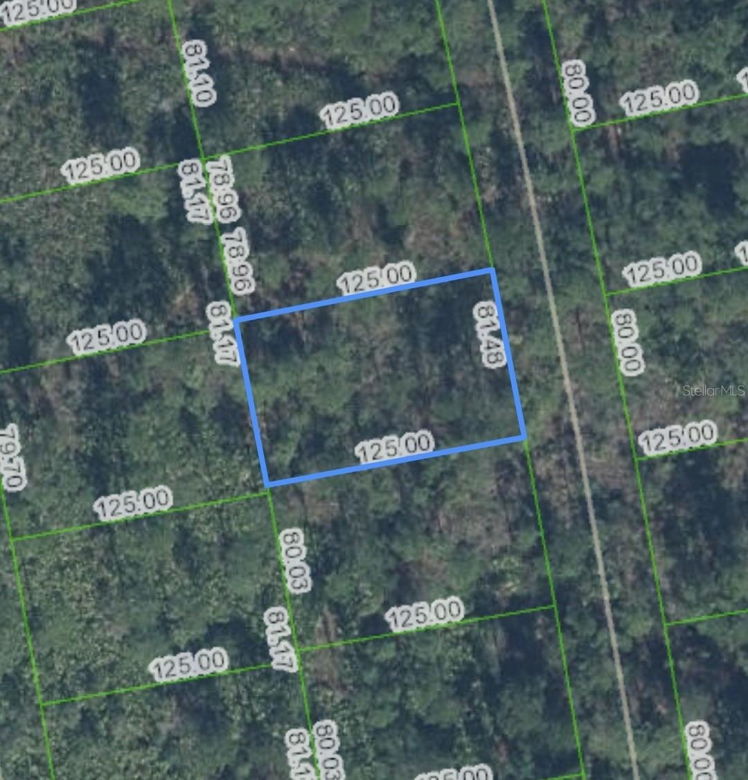 4401 Obispo Avenue, FL