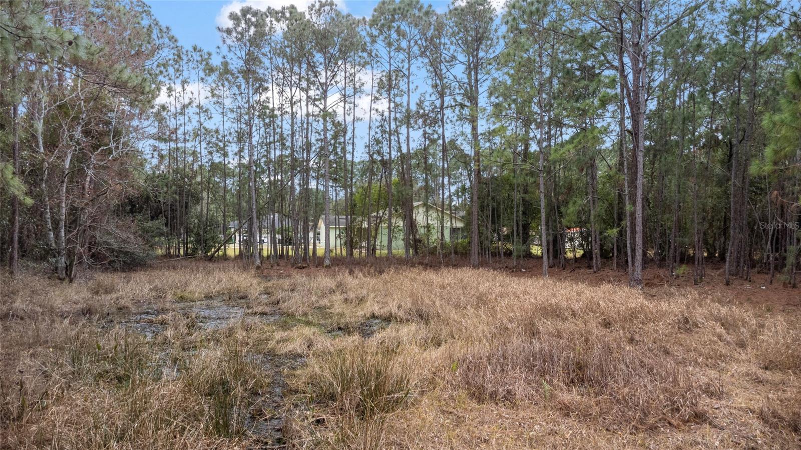 Sanctuary Avenue, FL