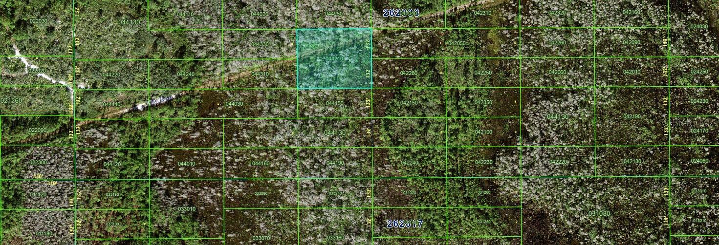 N/A, FL