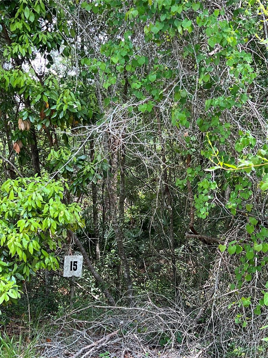 0 70th Circle, FL