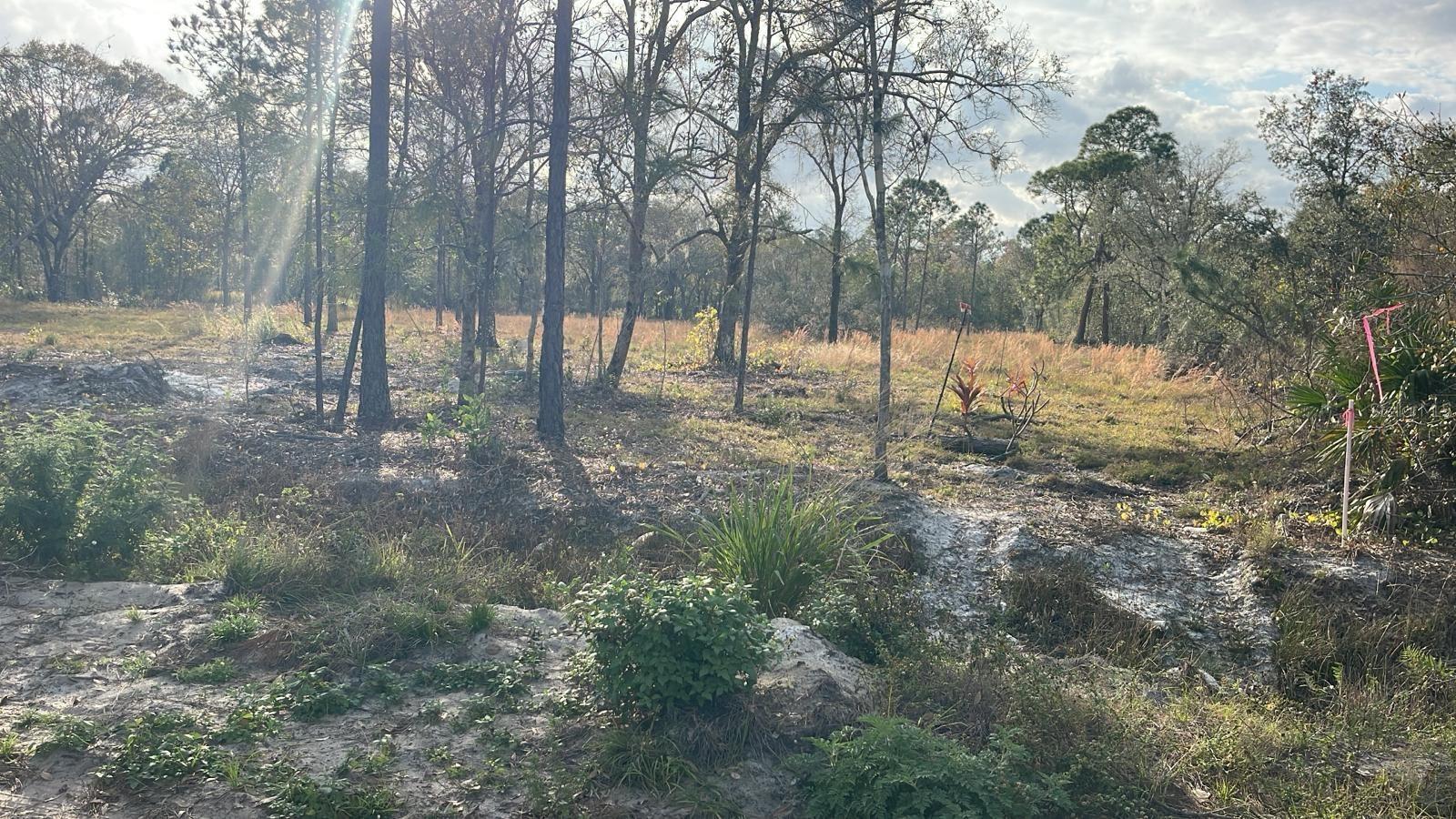 Kelly Ridge Rd, FL