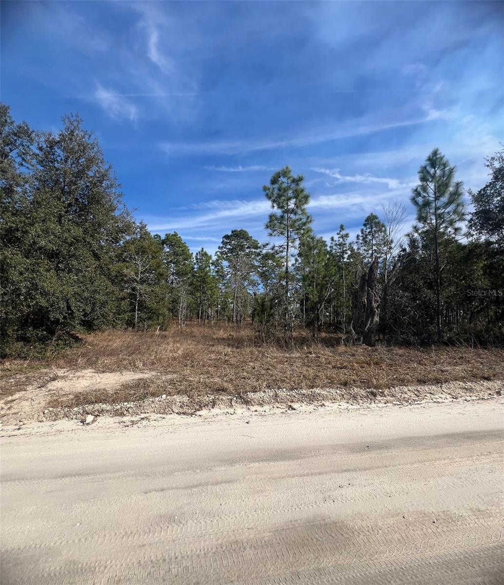 Tbd Se 185 Ter, FL