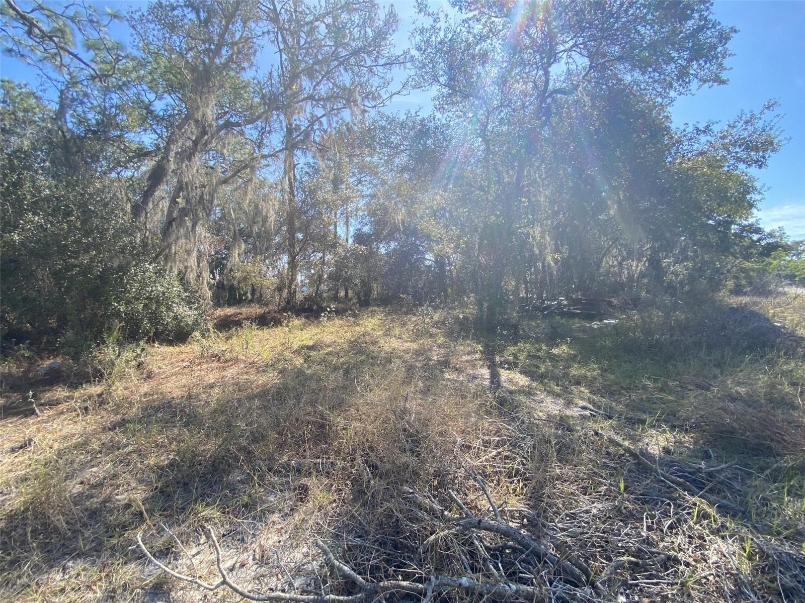 1203 Vernon Ln, FL