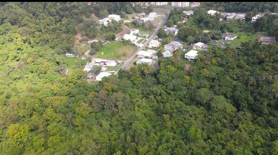 Rd. 859 Km. 1.5 Bo. Santa Cruz, PR