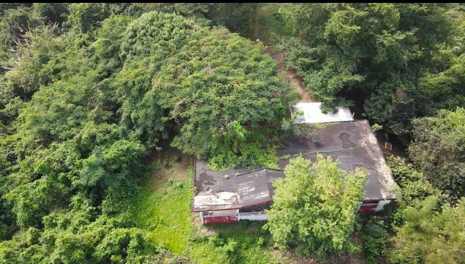 Rd. 859 Km. 1.5 Bo. Santa Cruz, PR