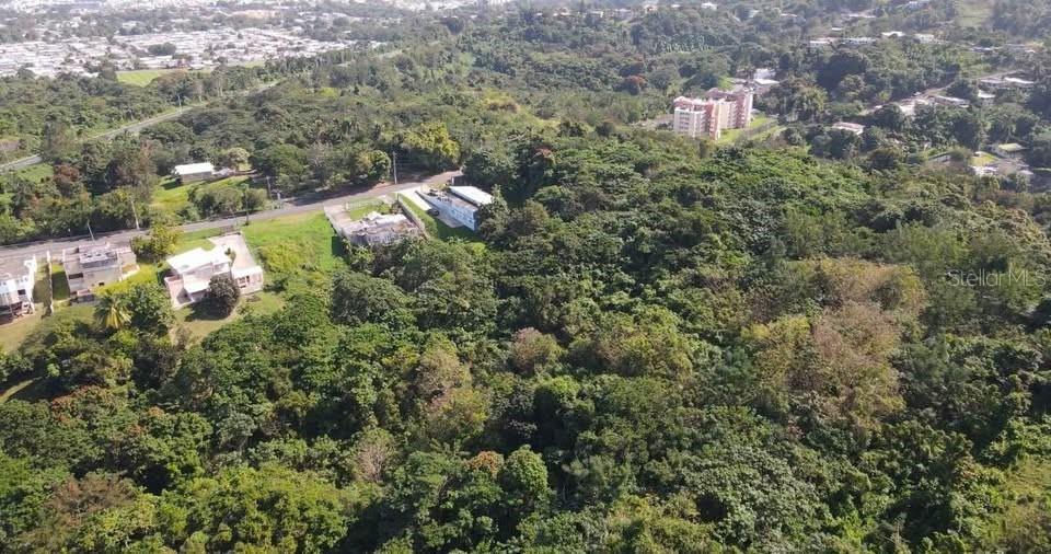 Rd. 859 Km. 1.5 Bo. Santa Cruz, PR