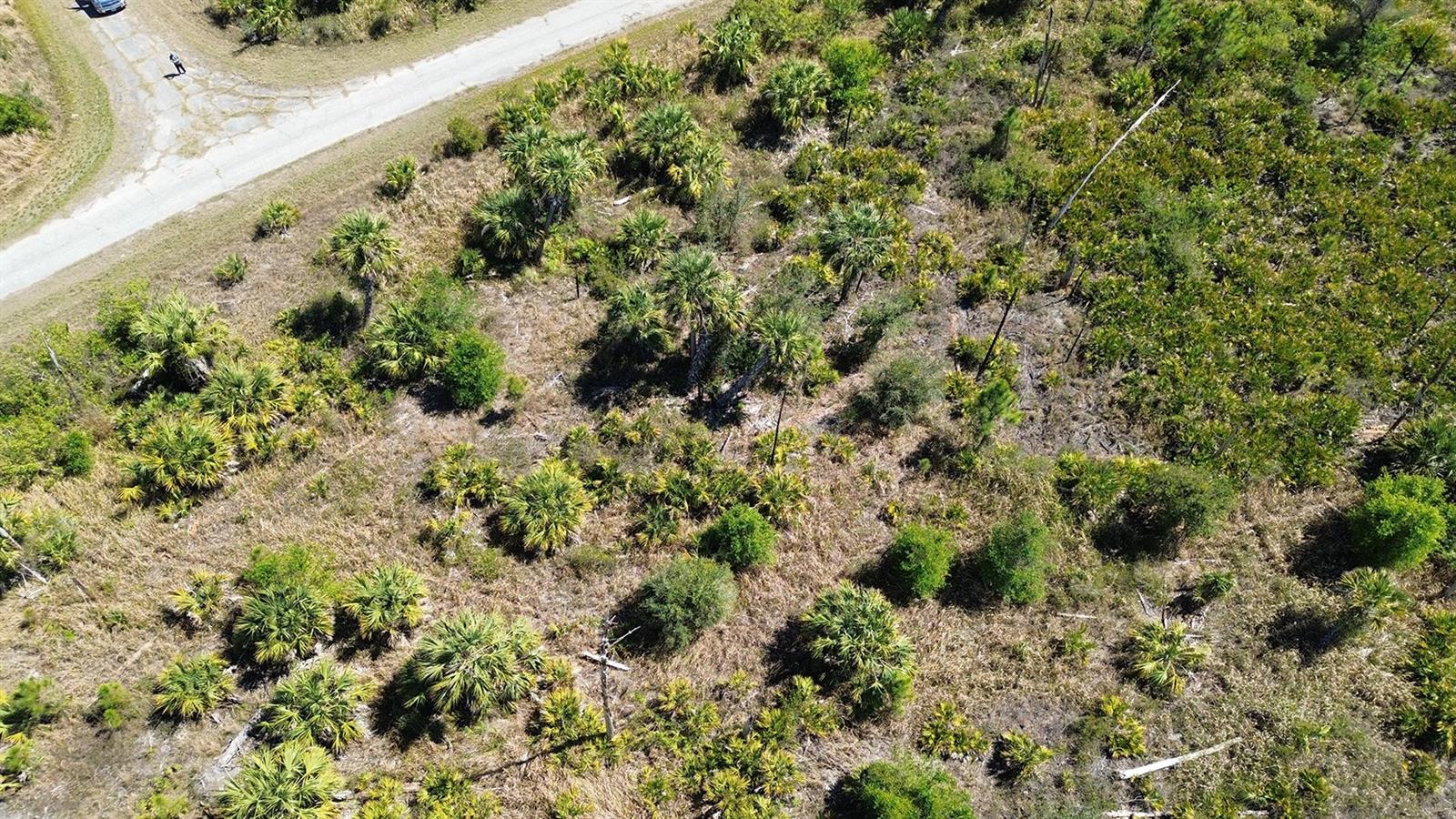 Farview Drive, FL