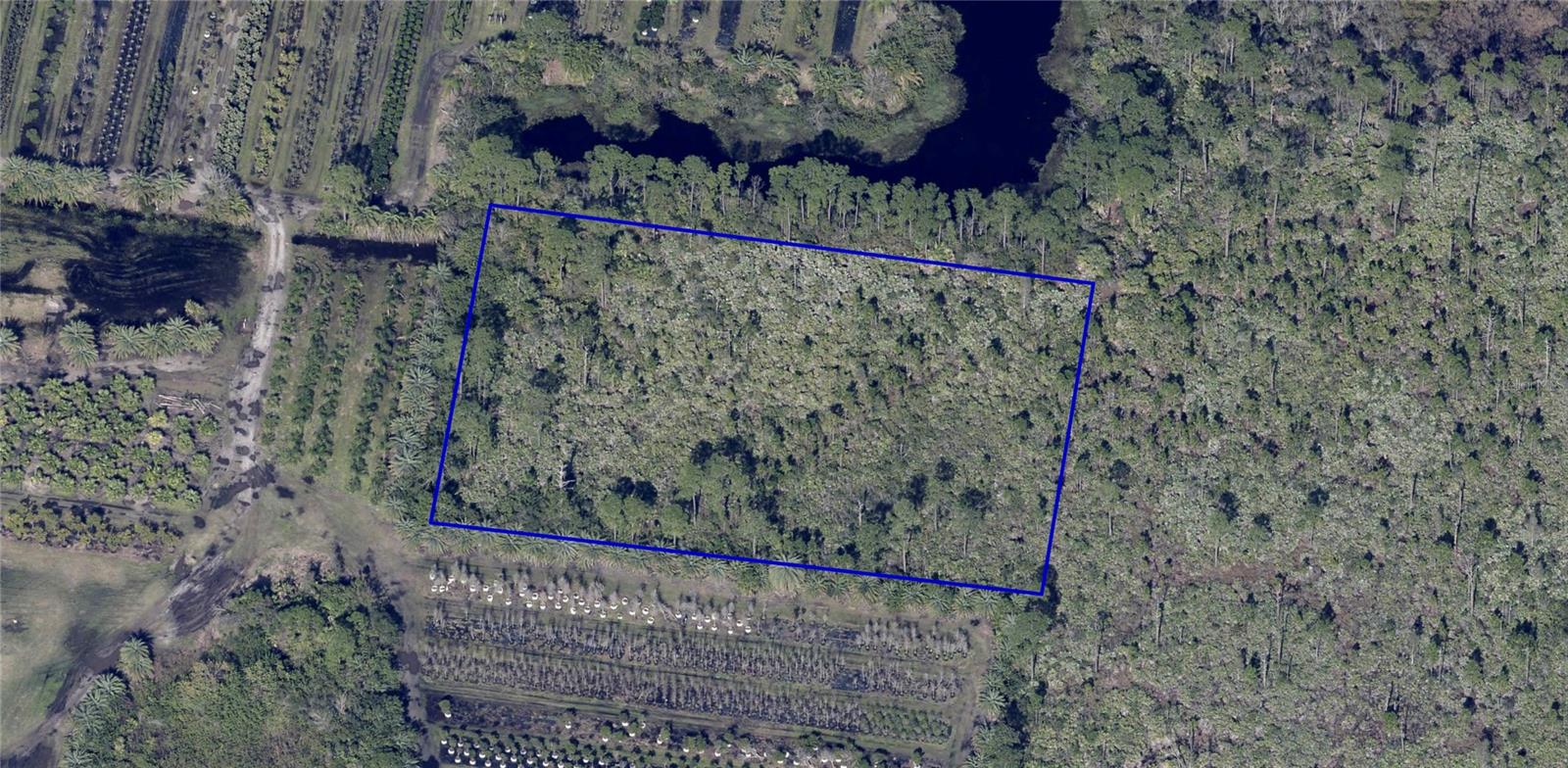 Hazel Lane, FL
