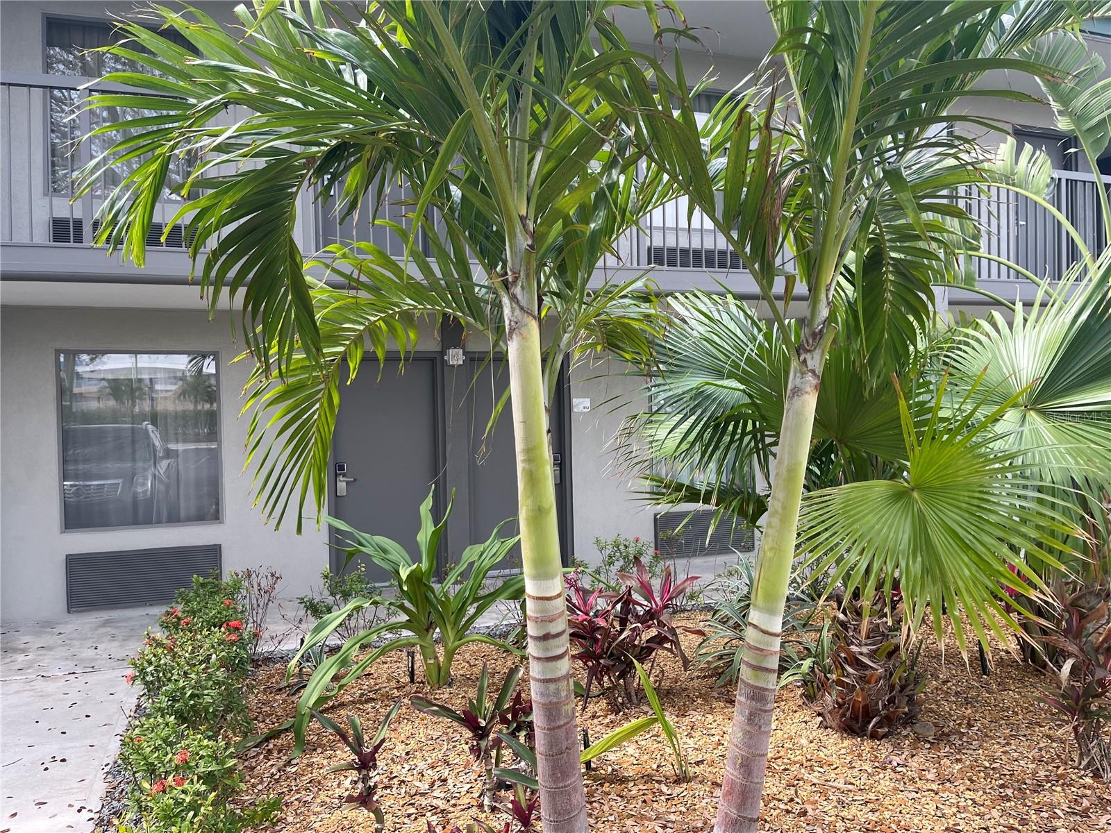 7150 Tamiami Trail, FL
