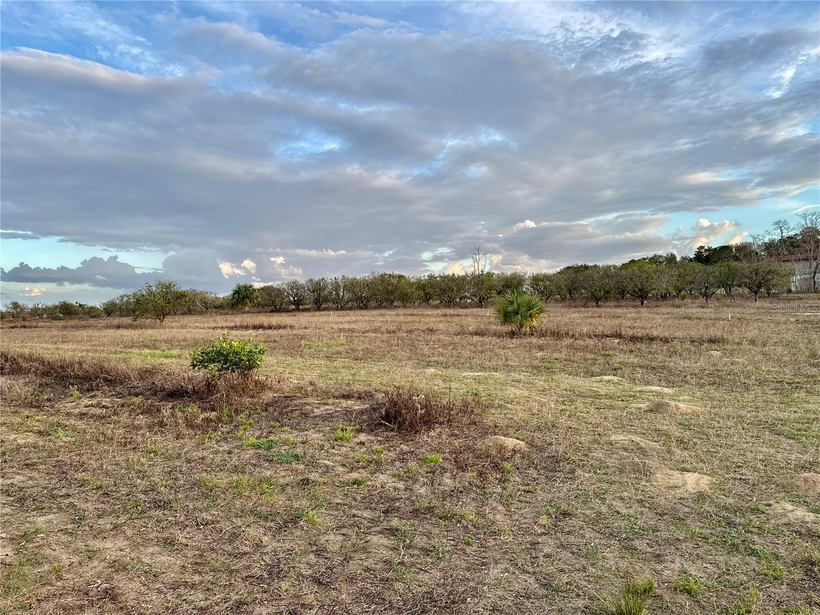 Se 165th Ave, FL
