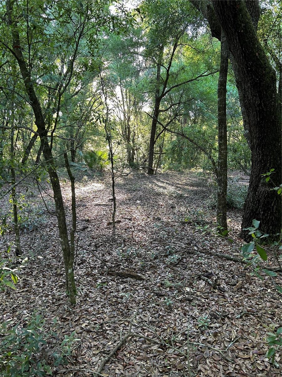 Sw Hwy 484, FL