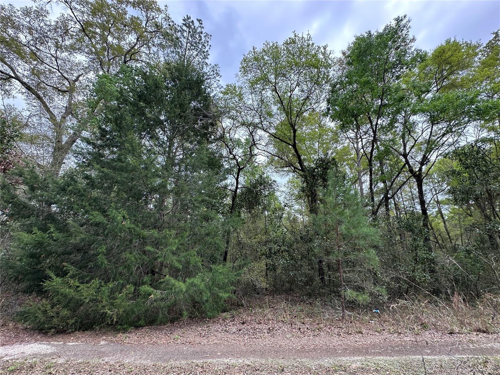 Tbd 154th Avenue, FL