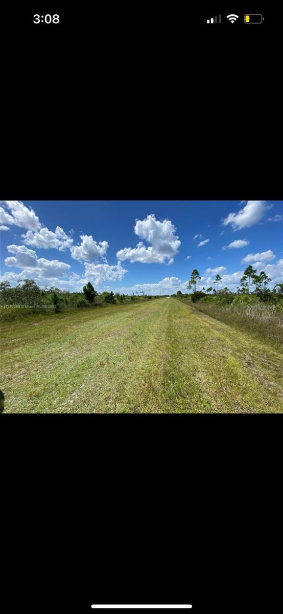 313 Calendula Dr, FL