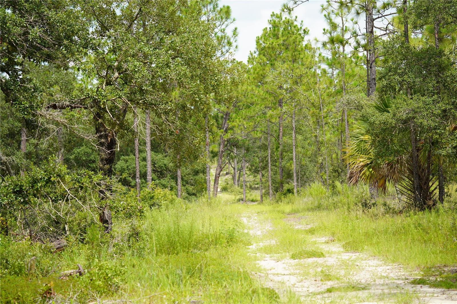 State Road 121 Lot A & B, FL