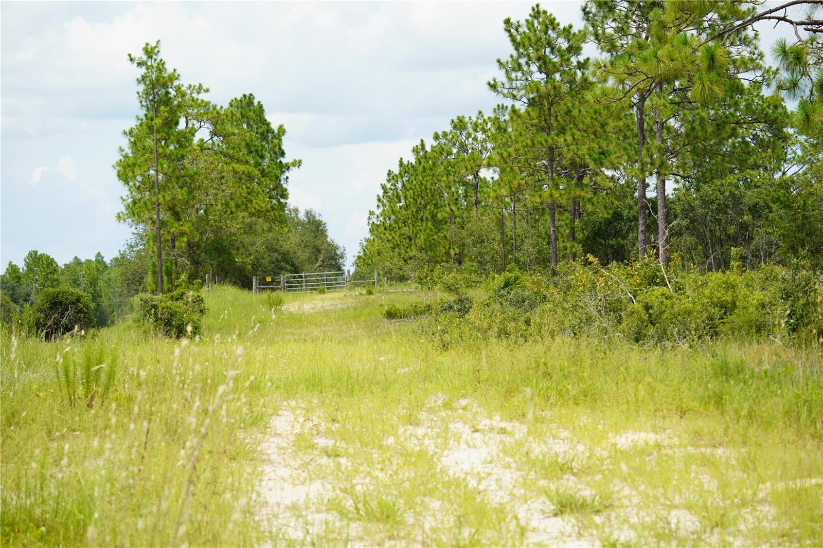 State Road 121 Lot C & D, FL