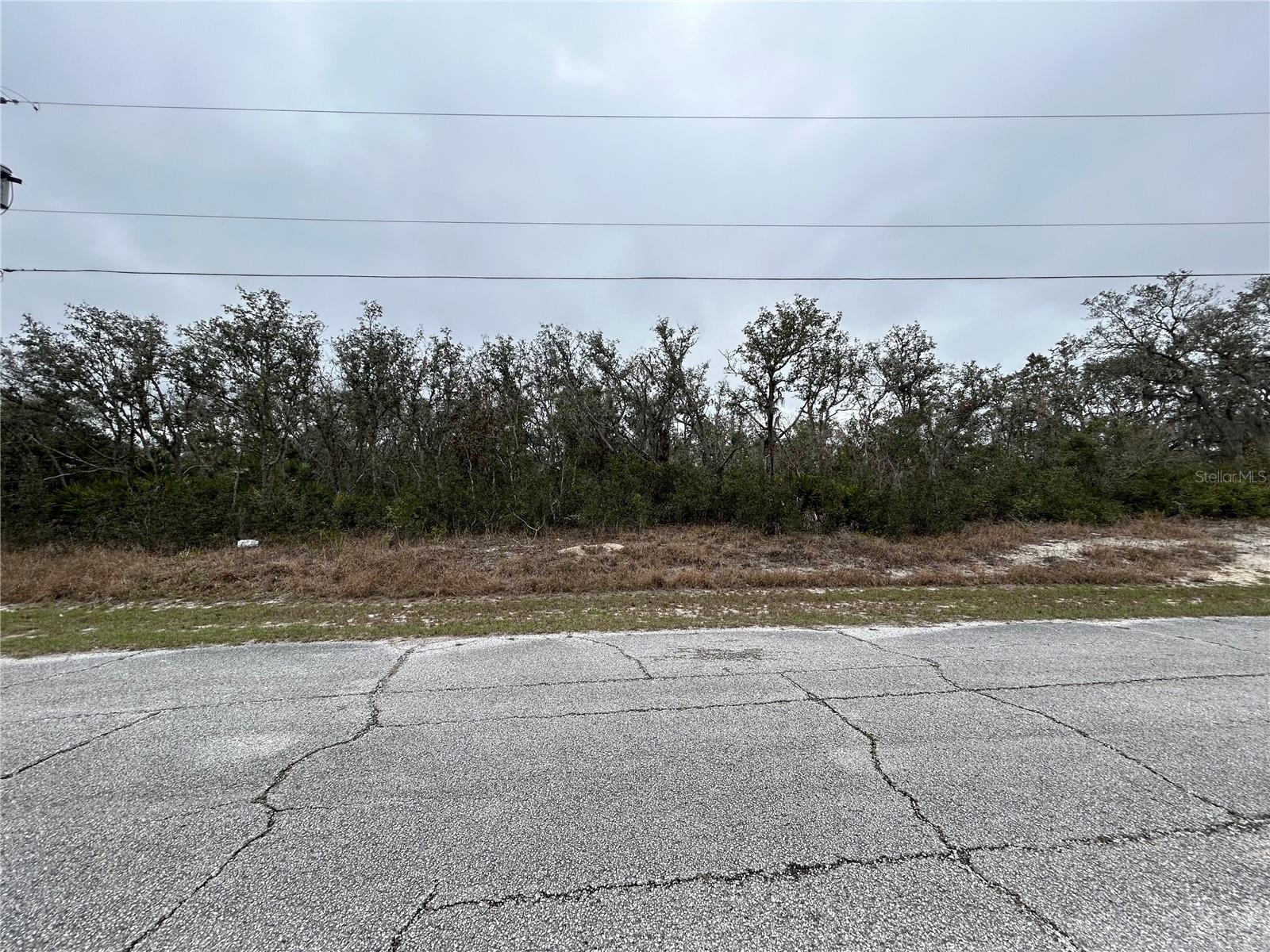 509 Sarasota Ln, FL